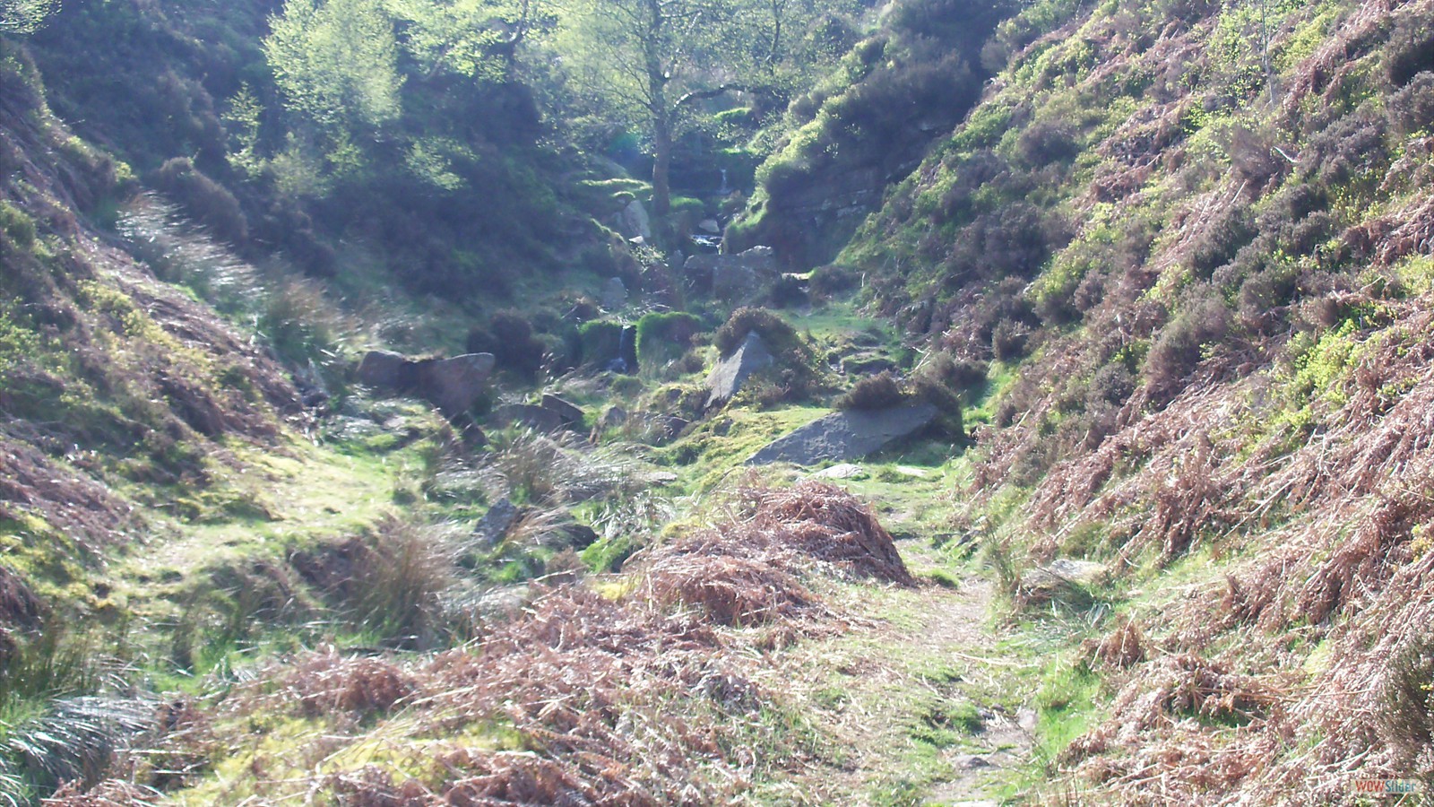 Bronte Water Falls in Summer 1