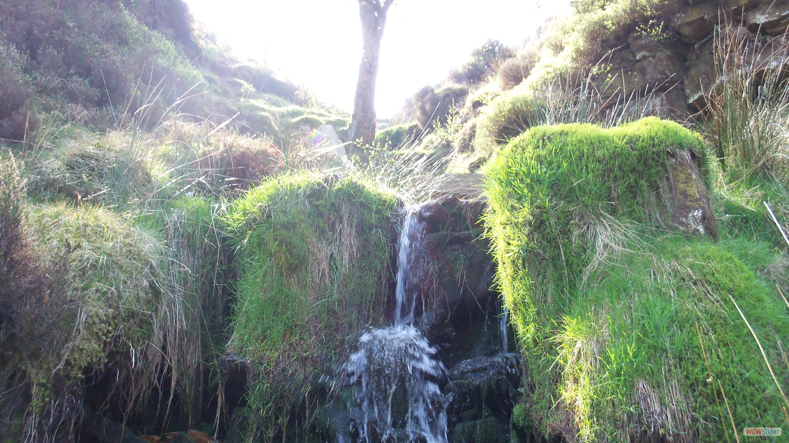 Bronte Water Falls & Top Withens Walk