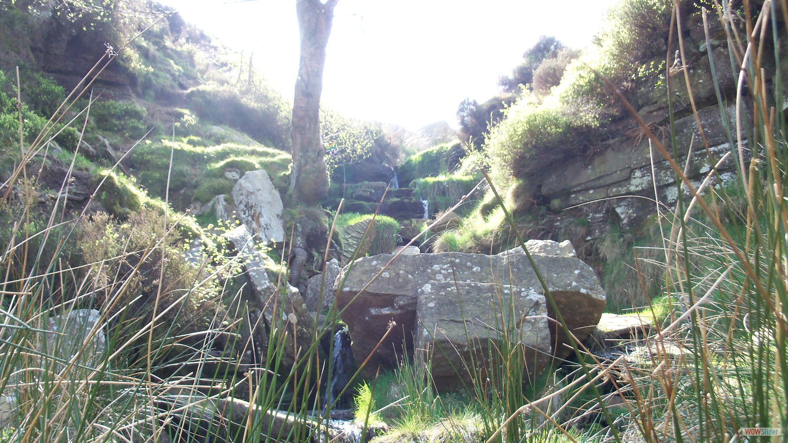 Bronte Water Falls in Summer 4