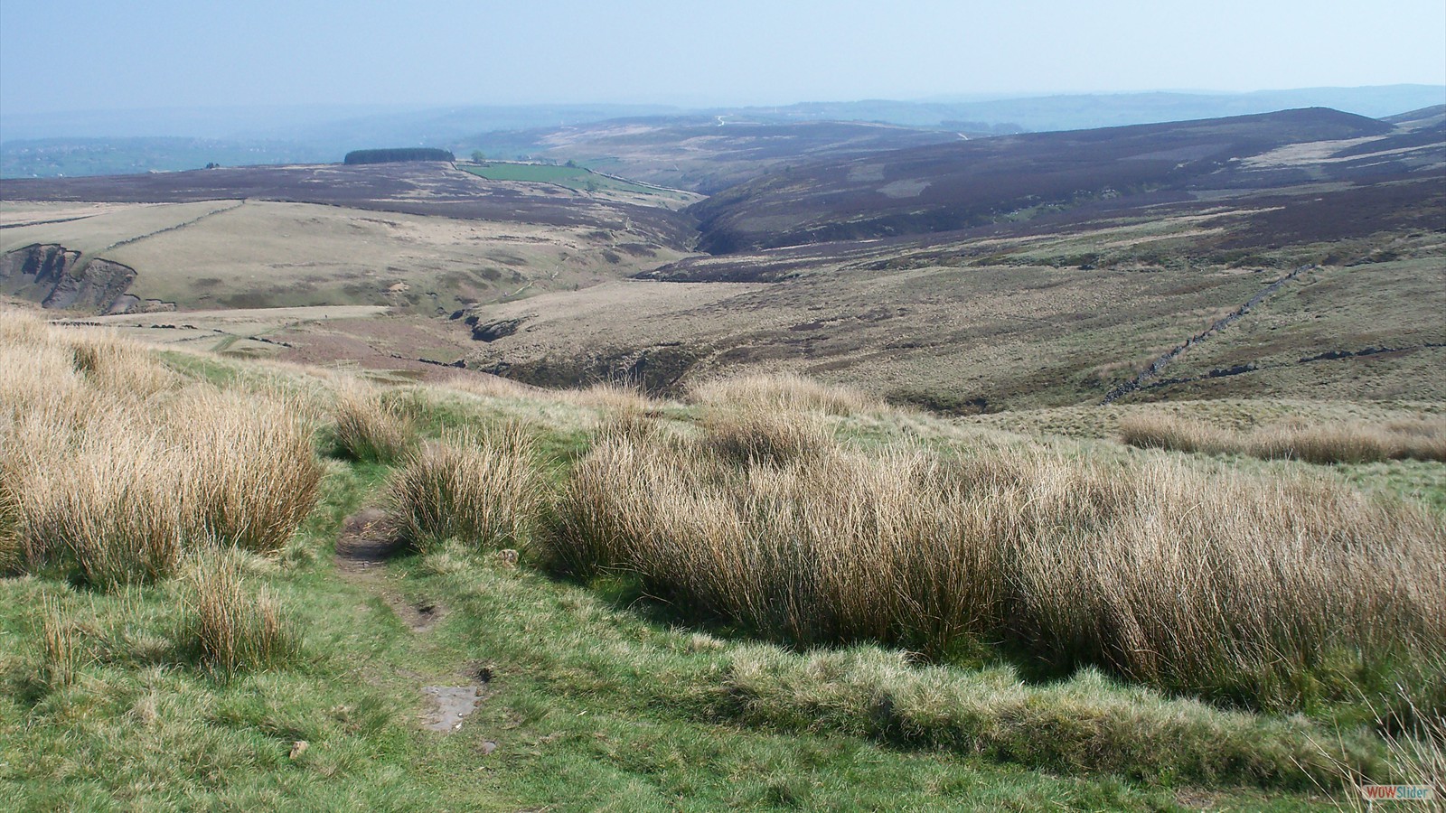 From Top Withens looking back to Penniston Hill