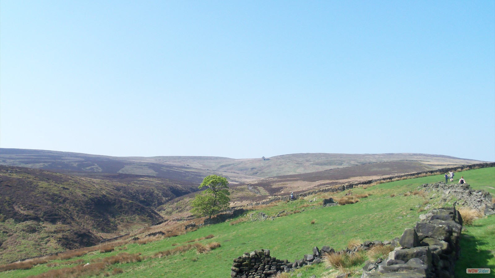 On the path form the Falls to Top Withens