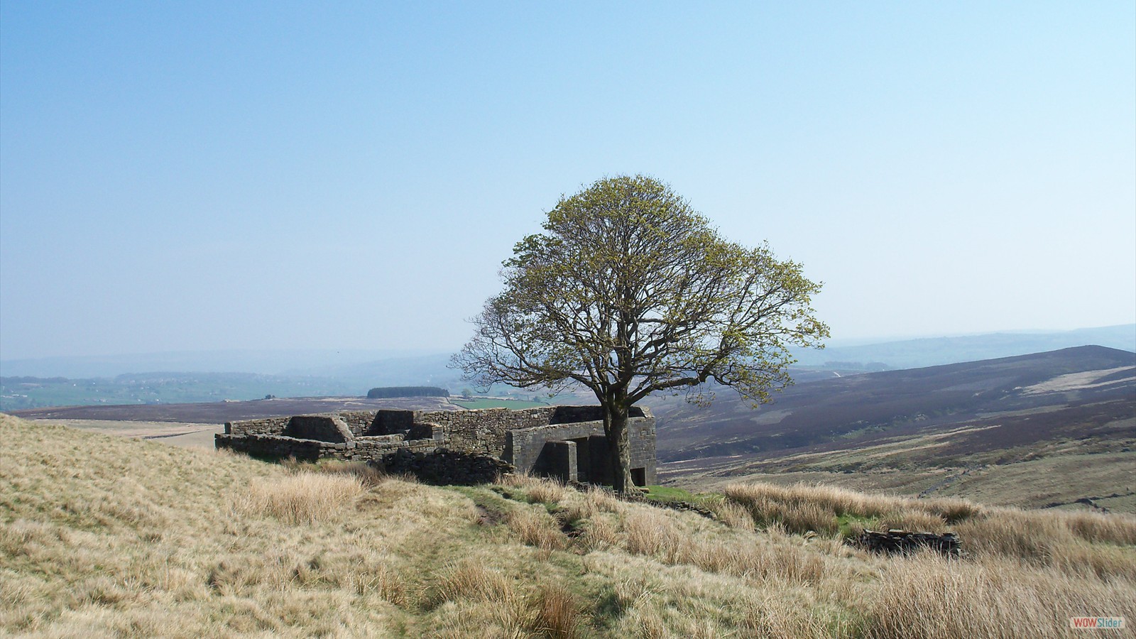 Top Withens Classic View