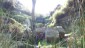 Bronte Water Falls in Summer 4