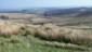 From Top Withens looking back to Penniston Hill